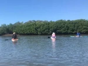 group of people sup on river